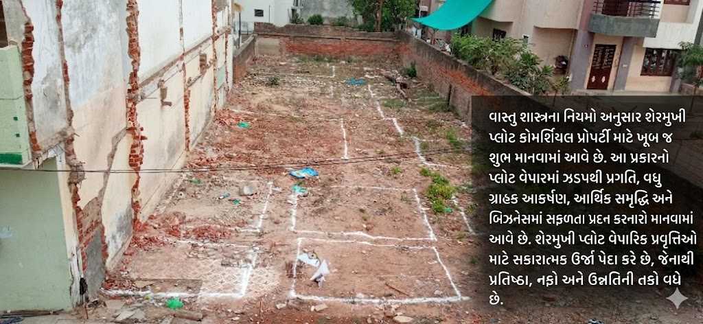શેરમુખી પ્લોટ